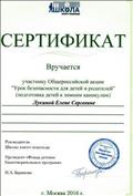 Сертификат участника Общероссийской акции "Урок безопасности для детей и родителей" (подготовка детей к зимним каникулам) , г. Москва, 2016г. Сертификат участника Общероссийской акции "Урок безопасности для детей и родителей" (подготовка детей к зимним каникулам) , г. Москва, 2016г.
